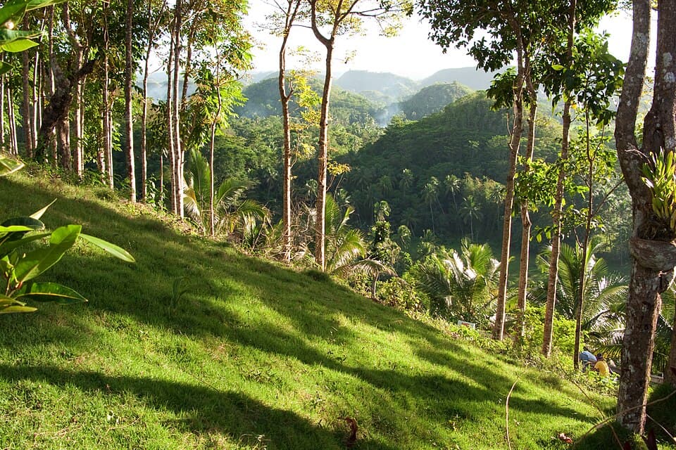 Bohol