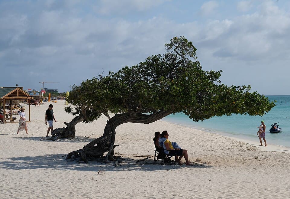 Aruba